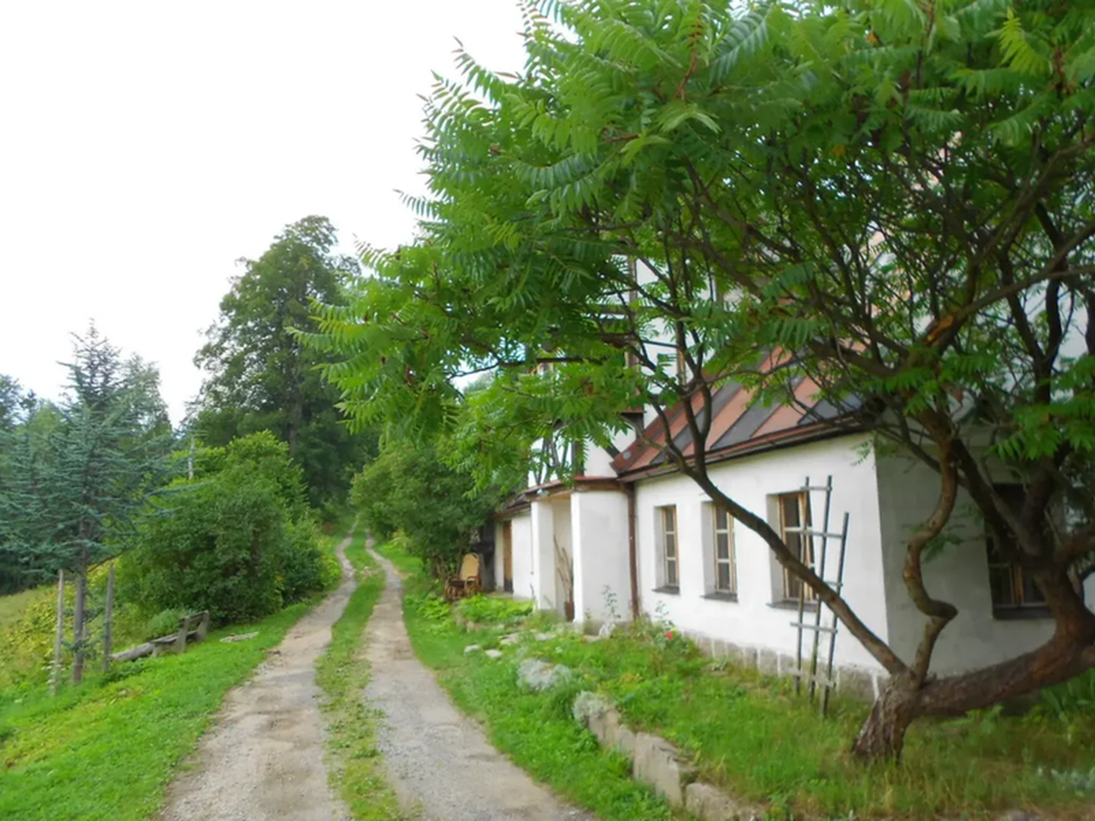 Polna droga przy domku